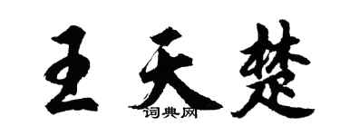 胡問遂王天楚行書個性簽名怎么寫
