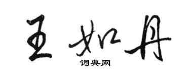 駱恆光王如丹行書個性簽名怎么寫