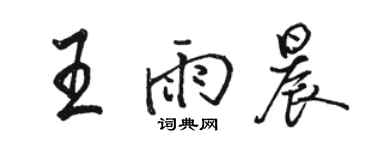 駱恆光王雨晨行書個性簽名怎么寫