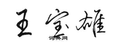 駱恆光王寶雄行書個性簽名怎么寫