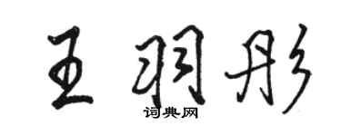 駱恆光王羽彤行書個性簽名怎么寫