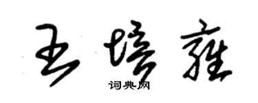 朱錫榮王培雍草書個性簽名怎么寫