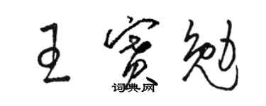 駱恆光王賽勉草書個性簽名怎么寫