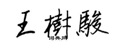 王正良王樹駿行書個性簽名怎么寫