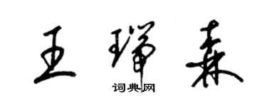 梁錦英王瑞森草書個性簽名怎么寫