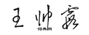 駱恆光王帥霞草書個性簽名怎么寫