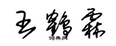 朱錫榮王鶴霖草書個性簽名怎么寫