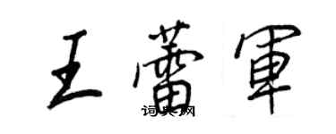 王正良王蕾軍行書個性簽名怎么寫