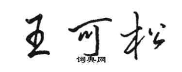 駱恆光王可松行書個性簽名怎么寫