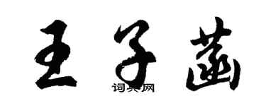 胡問遂王子菡行書個性簽名怎么寫