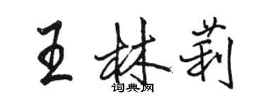 駱恆光王林莉行書個性簽名怎么寫