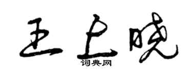 曾慶福王上曉草書個性簽名怎么寫