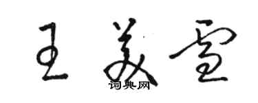 駱恆光王美雪草書個性簽名怎么寫