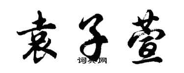 胡問遂袁子萱行書個性簽名怎么寫