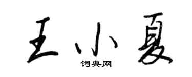 王正良王小夏行書個性簽名怎么寫