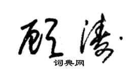 朱錫榮顧濤草書個性簽名怎么寫