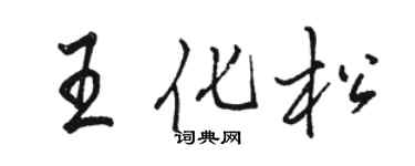 駱恆光王化松行書個性簽名怎么寫