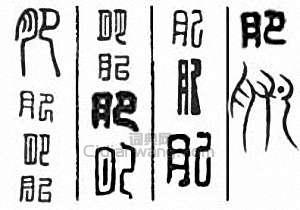 “肥”篆刻印章