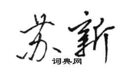 駱恆光蘇新行書個性簽名怎么寫