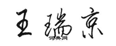 駱恆光王瑞京行書個性簽名怎么寫