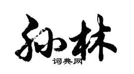 胡問遂孫林行書個性簽名怎么寫