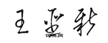 駱恆光王聖新草書個性簽名怎么寫