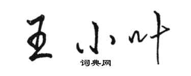 駱恆光王小葉行書個性簽名怎么寫