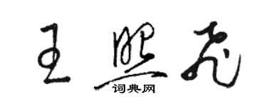 駱恆光王照飛草書個性簽名怎么寫