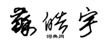 朱錫榮蘇皓宇草書個性簽名怎么寫