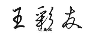 駱恆光王彩友行書個性簽名怎么寫