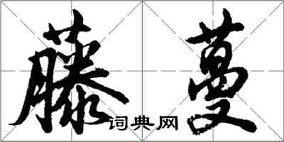 胡問遂藤蔓行書怎么寫