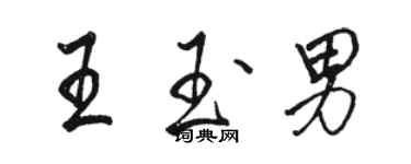 駱恆光王玉男行書個性簽名怎么寫