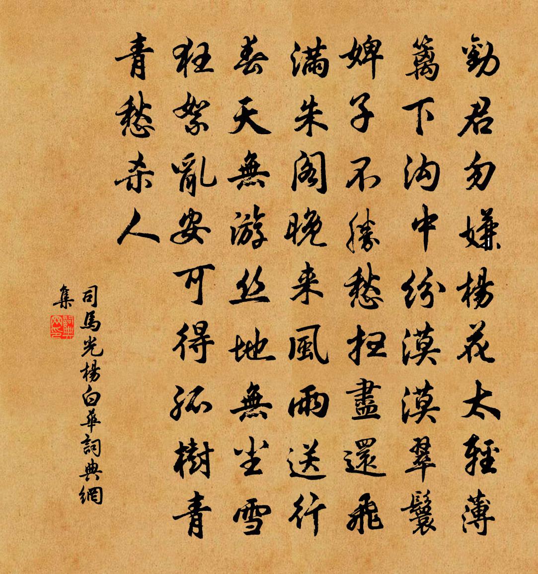 司馬光楊白華書法作品欣賞