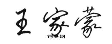 駱恆光王家蒙行書個性簽名怎么寫