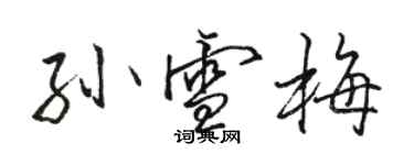 駱恆光孫雪梅行書個性簽名怎么寫