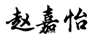 胡問遂趙嘉怡行書個性簽名怎么寫