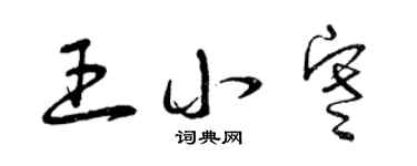 曾慶福王小寒草書個性簽名怎么寫