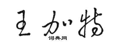 駱恆光王加特草書個性簽名怎么寫