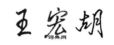 駱恆光王宏胡行書個性簽名怎么寫