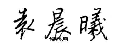 王正良袁晨曦行書個性簽名怎么寫