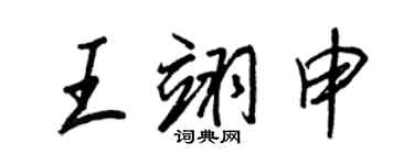 王正良王翊申行書個性簽名怎么寫