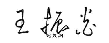 駱恆光王振炎草書個性簽名怎么寫