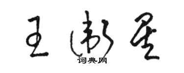 駱恆光王衛星草書個性簽名怎么寫