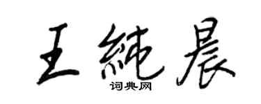 王正良王純晨行書個性簽名怎么寫