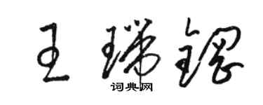 駱恆光王瑞鋼草書個性簽名怎么寫