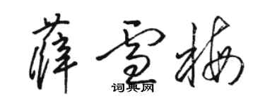 駱恆光薛雪梅草書個性簽名怎么寫