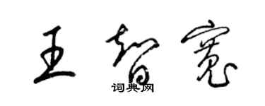 梁錦英王智寬草書個性簽名怎么寫