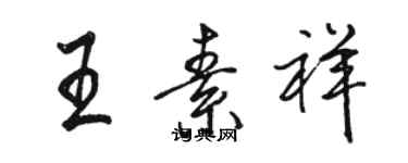 駱恆光王素祥行書個性簽名怎么寫