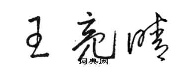 駱恆光王亮晴草書個性簽名怎么寫