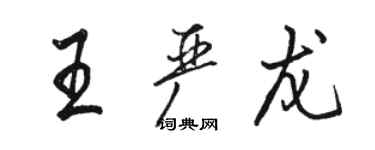 駱恆光王嚴龍行書個性簽名怎么寫